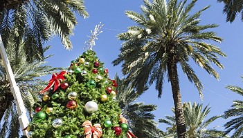 Jarmarki bożonarodzeniowe pod palmami