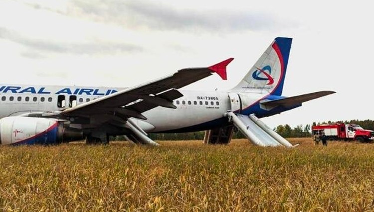 Ural Airlines: A320 lądował awaryjnie na gruncie rolnym